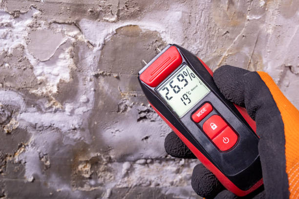 Best Mold Damage Repair  in Westgate, FL