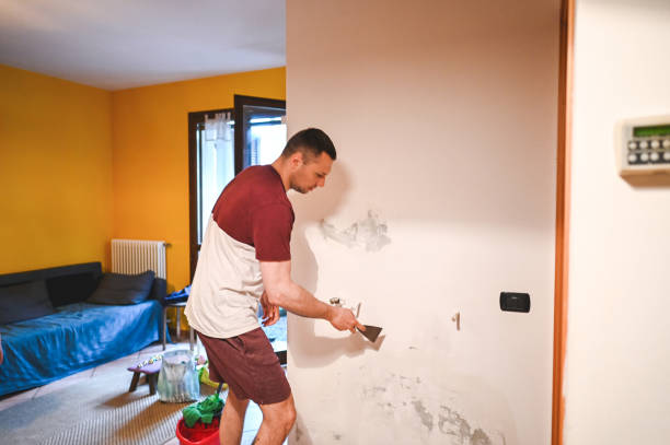 Best Crawl Space Mold Removal  in Westgate, FL